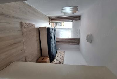 Apartament cu 2 camere decomandat în Valea Ialomiței - 2