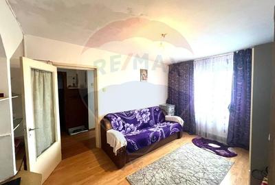 Apartament cu 3 camere de vanzare strada Stadionului zona Milcov - 6
