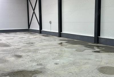 Inchiriem hala noua- prima inchiriere Chiajna - 5