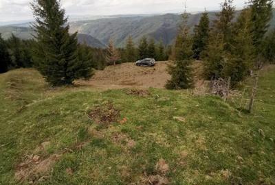 Teren 15841 mp,pret 8 /mp Muntele Rece com. Maguri Racatau - 6