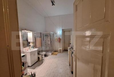 Ocazie, apartament 220 mp in Piata Victoriei, vedere la cate - 9