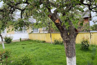 Teren de 500 mp, în Exterior Vest