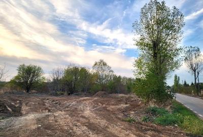 Teren intravilan de 800 mp, în Izvorani