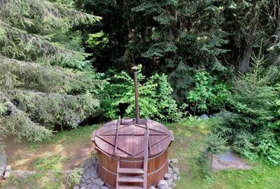 Casa din grinzi pe marginea paraului Borzont - 3