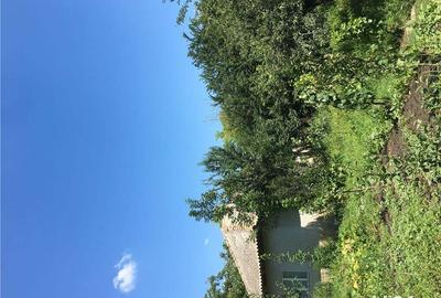 Casă în Sălcioara - 9