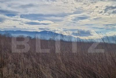 Teren de 1500 mp, în Central - 2