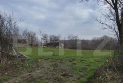 Teren intravilan 3000mp ,sat Plopu, Prahova - 2