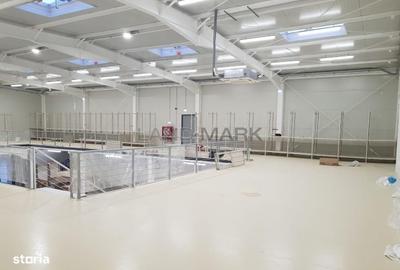 Spațiu comercial, de 890 mp, în Giroc - 5