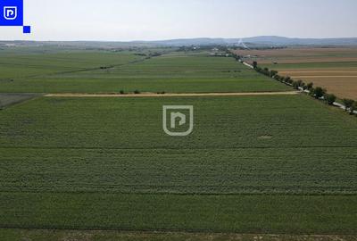 Teren agricol extravilan de 10000 mp, în Orășeni-Deal - 3