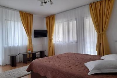 Casă cu 4 camere cu Teren 5000 Mp în Rucăr - 2