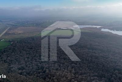 Teren de 16900 mp, în Grădiștea - 4