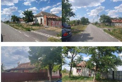 Casă cu 2 camere cu Teren 2877 Mp în Livezile - 10