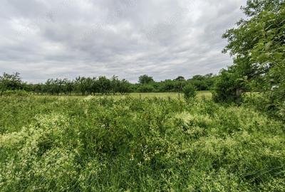 Teren intravilan 18.645 mp in Satul Santamaria de Piatra (sat apartinator Orasului Calan) din Jud HD - 2