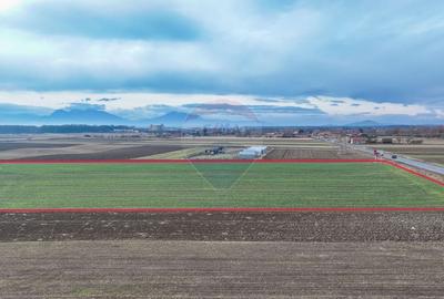 Teren agricol intravilan de 5300 mp, în Prejmer - 6