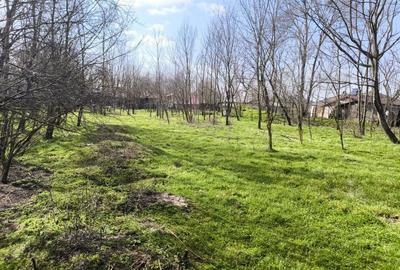 Spațiu comercial, în Zâmbreasca - 10