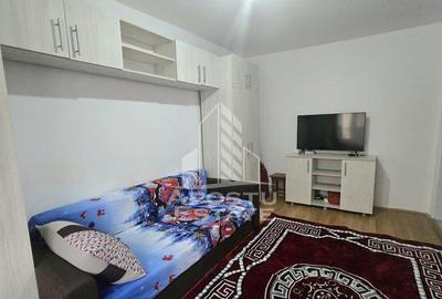 Garsoniera cu bucatarie separata, zona Badea Cartan - 1