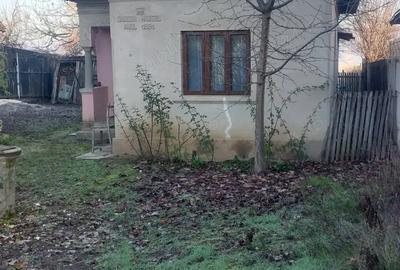 Casă în Vulpeni - 5