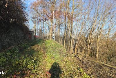 Teren de 10860 mp, în Gălănești - 13