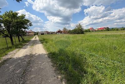 Teren Construcții intravilan de 2597 mp, în Mogoșești - 2