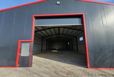 De inchiriat hala in Ludu? - 3