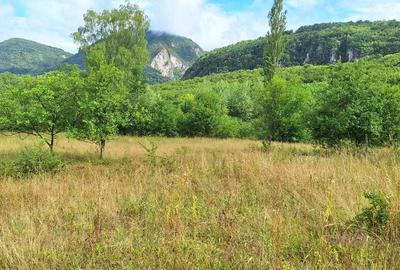 Spațiu comercial, în Ormindea - 4