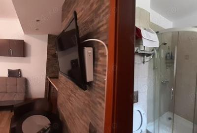 Garsonieră decomandată în Clăbucet - 1