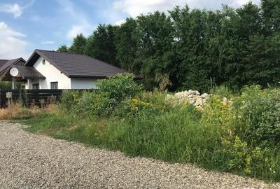 Teren de 550 mp, în Miroslava