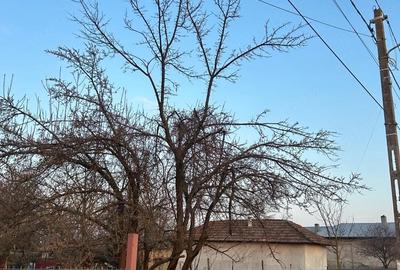 Casă cu 3 camere cu Teren 1700 Mp în Central - 2