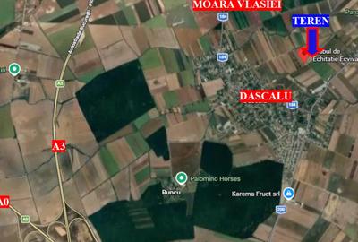 Teren de 10000 mp, în Dascălu