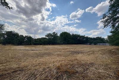 Teren intravilan 2580 mp - Hagiesti - 5