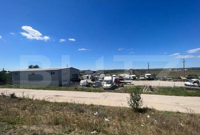 Teren 5000 mp cu hala de 280 mp in Isalnita, cu deschidere l - 10