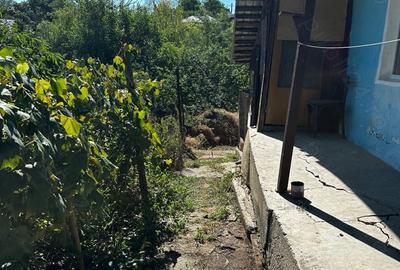 Casă cu 3 camere în Naipu - 4