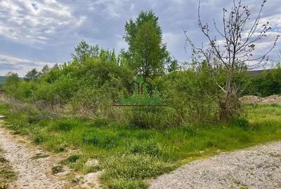 Teren de 494 mp, în Bujoreni