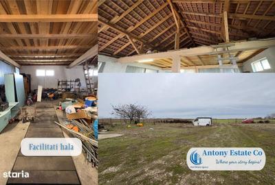 Spațiu comercial, de 210 mp, în Biharia - 4