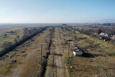 Comision O%.Teren 80000 mp , intravilan curti constructii - 7