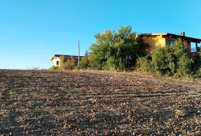 Ciolpani, spre Izvorani - COR, vanzare teren 5000mp. - 12