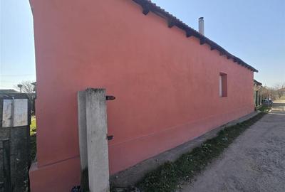 Casă cu 3 camere cu Teren 3309 Mp în Husasău de Tinca - 3