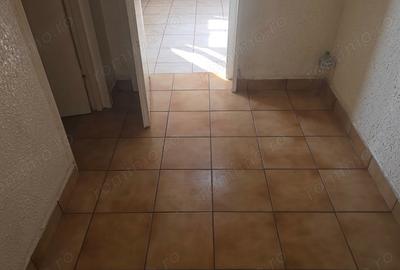 Apartament cu 3 camere în Gojdu - 4