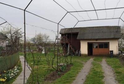 Casă cu 4 camere cu Teren 2900 Mp în Bălteni - 4