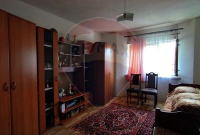 Casa de vanzare cu  teren de 3.869 mp in Cosniciu de Jos /Ip, Salaj - 11