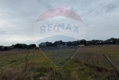 Teren intravilan Bod de vanzare - 2