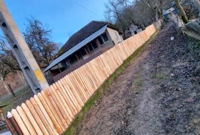 Casă individuală cu 5 camere cu Teren 15000 Mp în Dosu Râului - 3