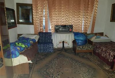 Casă cu 2 camere în Fârliug - 7