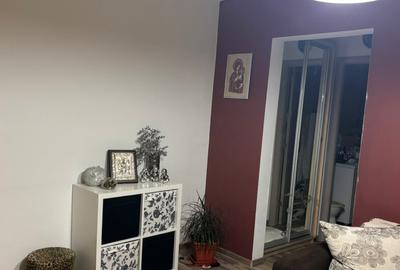 Apartament 2 camere Delfinului Iancului - 10