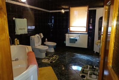 Casa cu etaj zona Manastirii Popauti Casa cu etaj zona Manastirii Popauti - 12