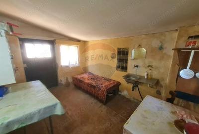 Casă cu 4 camere cu Teren 1041 Mp în Jariștea - 4