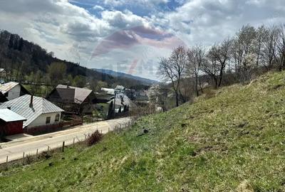 Teren generos, dar ieftin, in Namae?ti - Arge? - 10