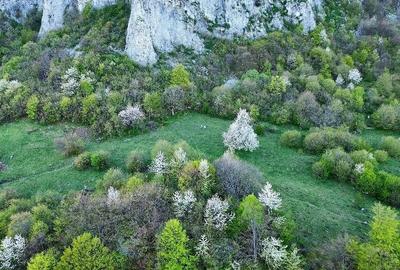Teren de 25000 mp, în Vulcan - 3
