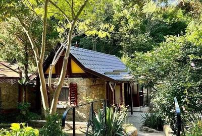 Vand casa Saca Montana - 2