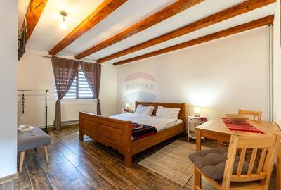 Casa / Vila cu 7 camere de vanzare - 28